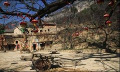 14号院设有专业的茶艺间8