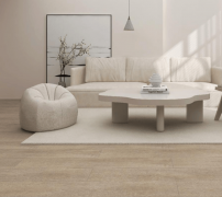 努力于供全面的环保家居处理方案