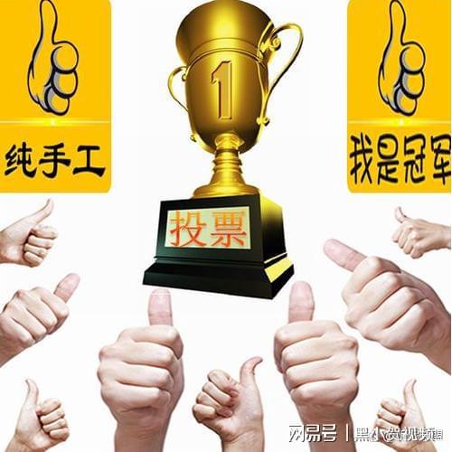 泛亚·电竞(中国)官方网站投票10元1000票是真的吗？人工投票多少钱一票？(图1)